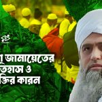 নোয়াখালী বিভাগ দাবি: কতটা যুক্তিযুক্ত?