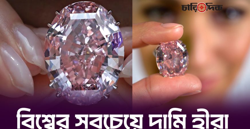 বিশ্বের সবচেয়ে দামি হীরা